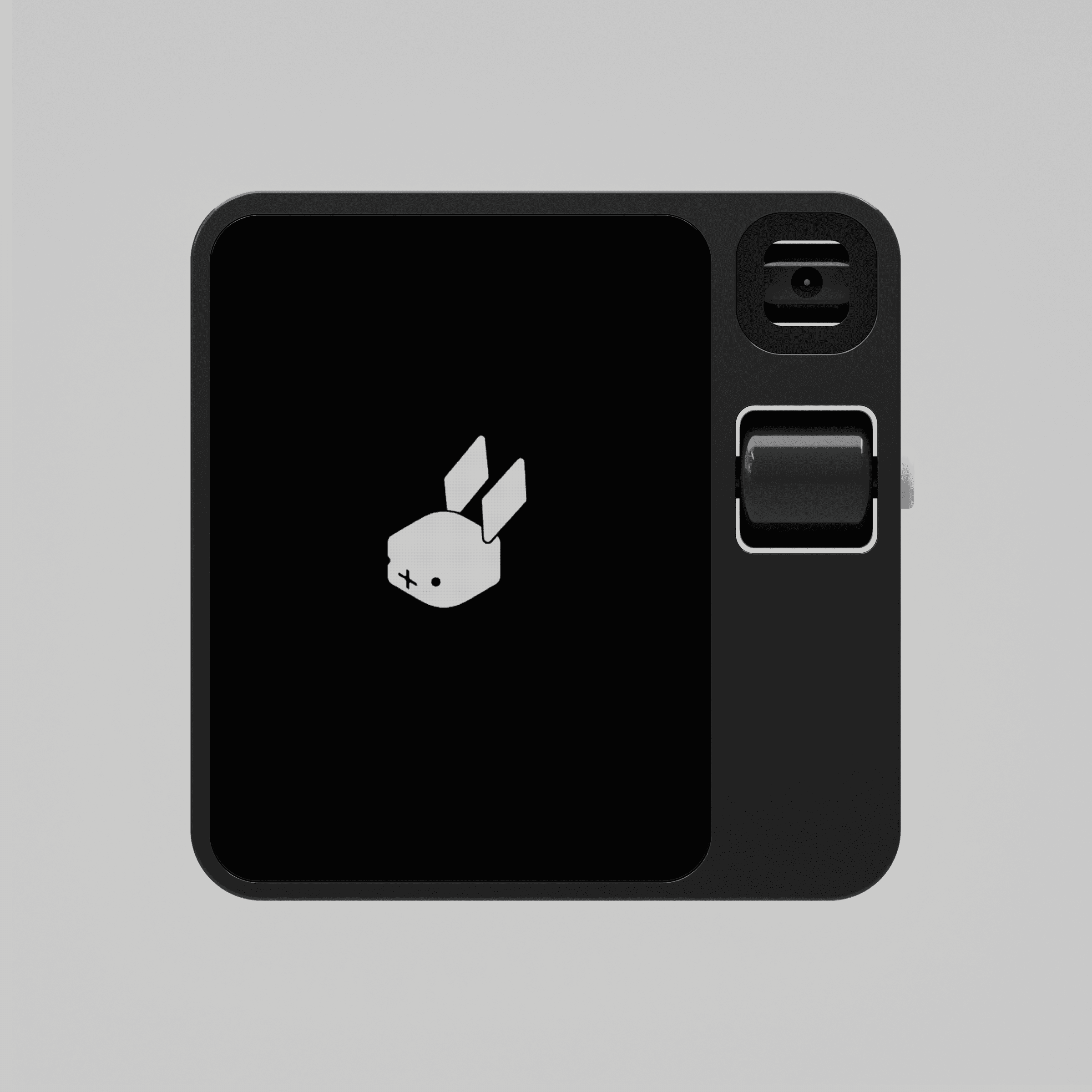 Rabbit in colors