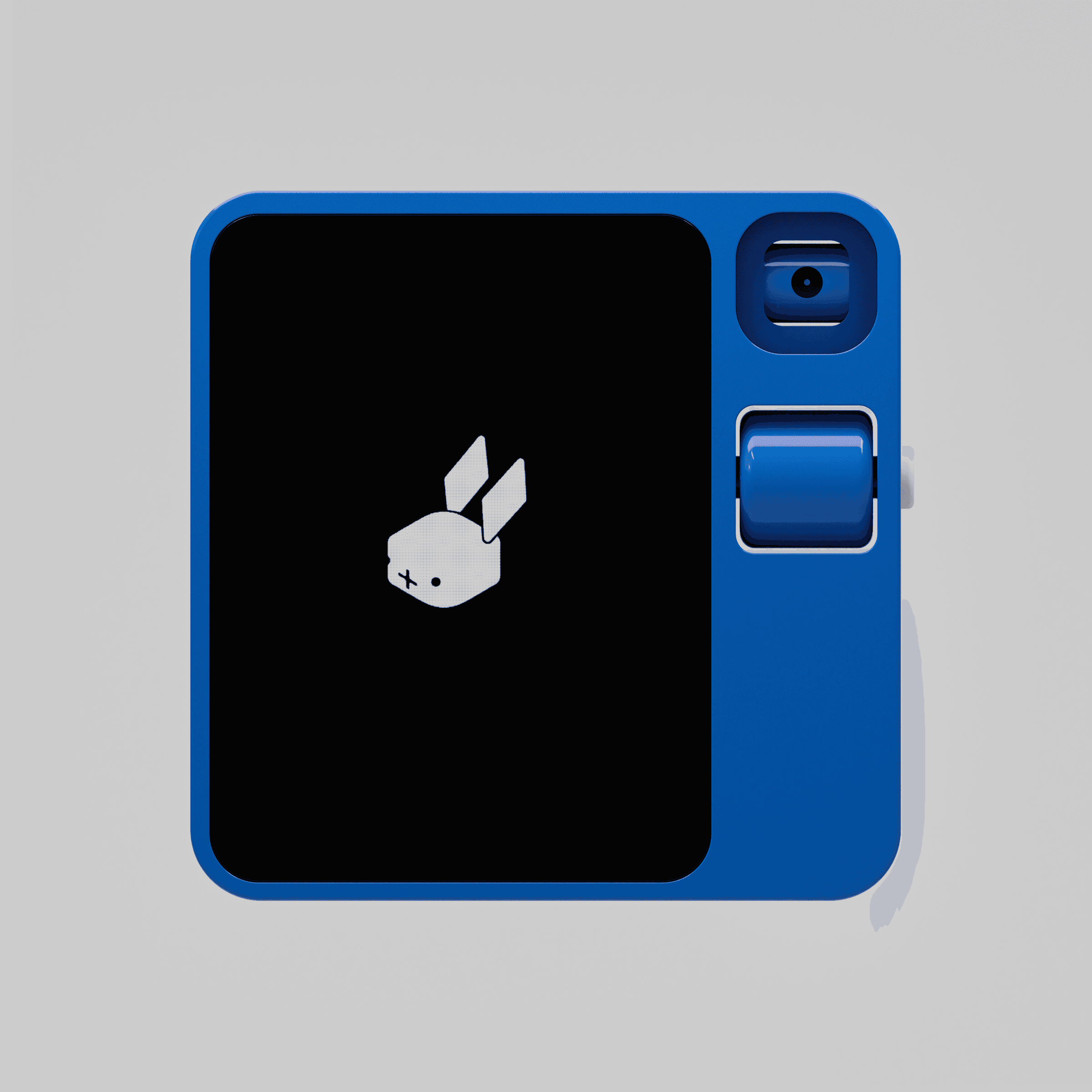 Rabbit in colors