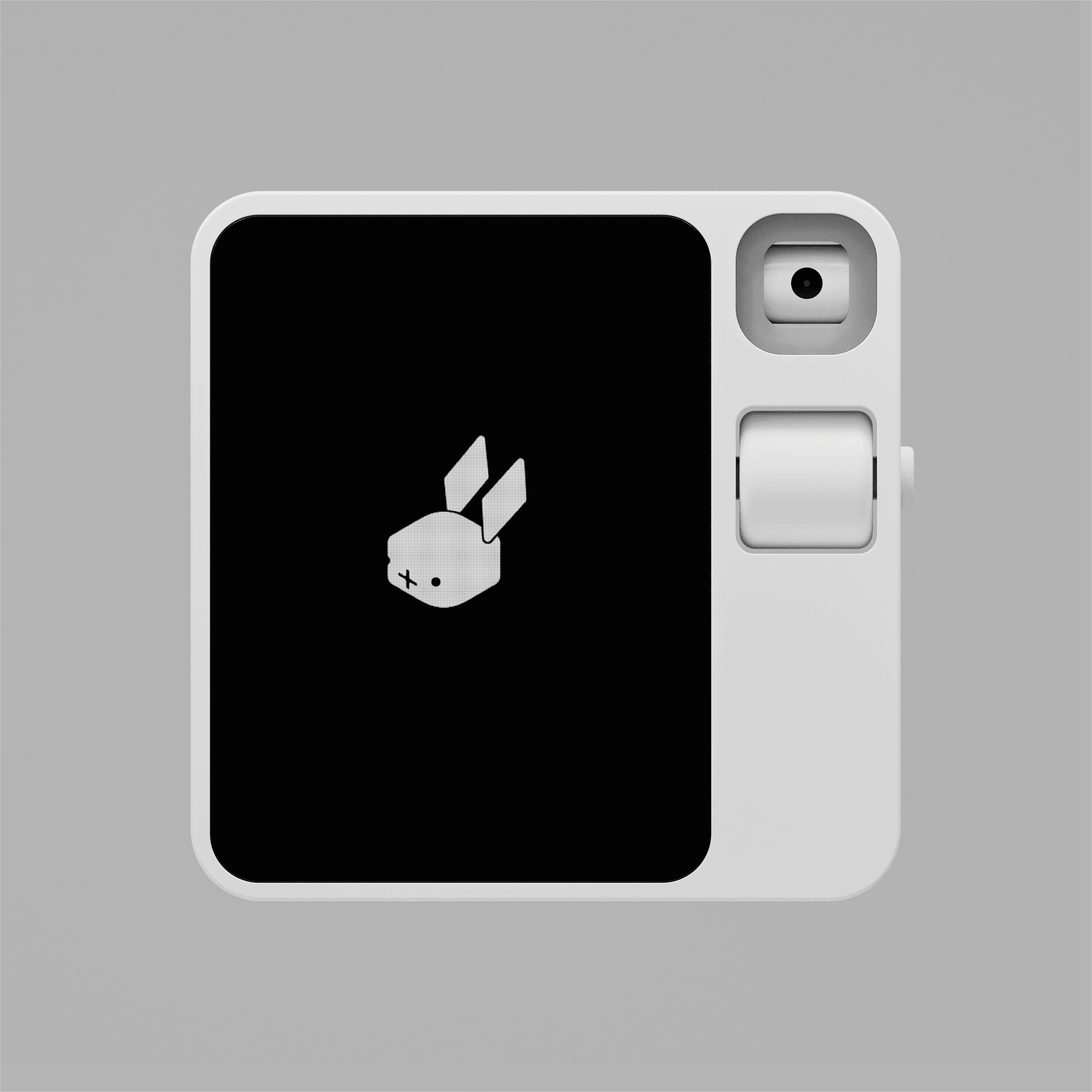 Rabbit in colors