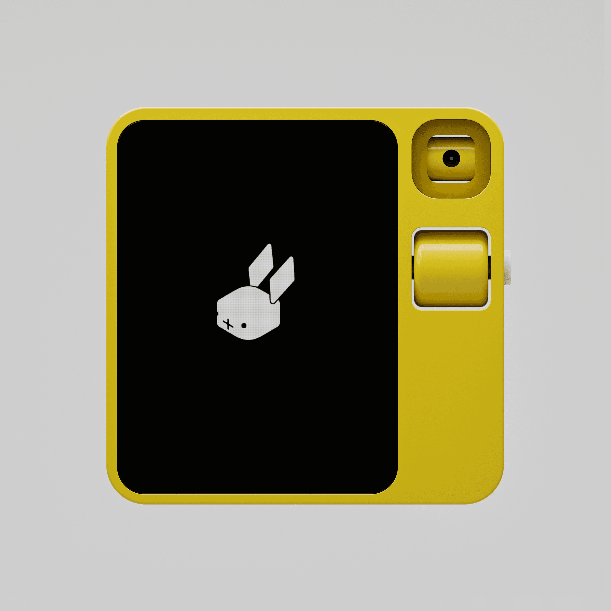 Rabbit in colors