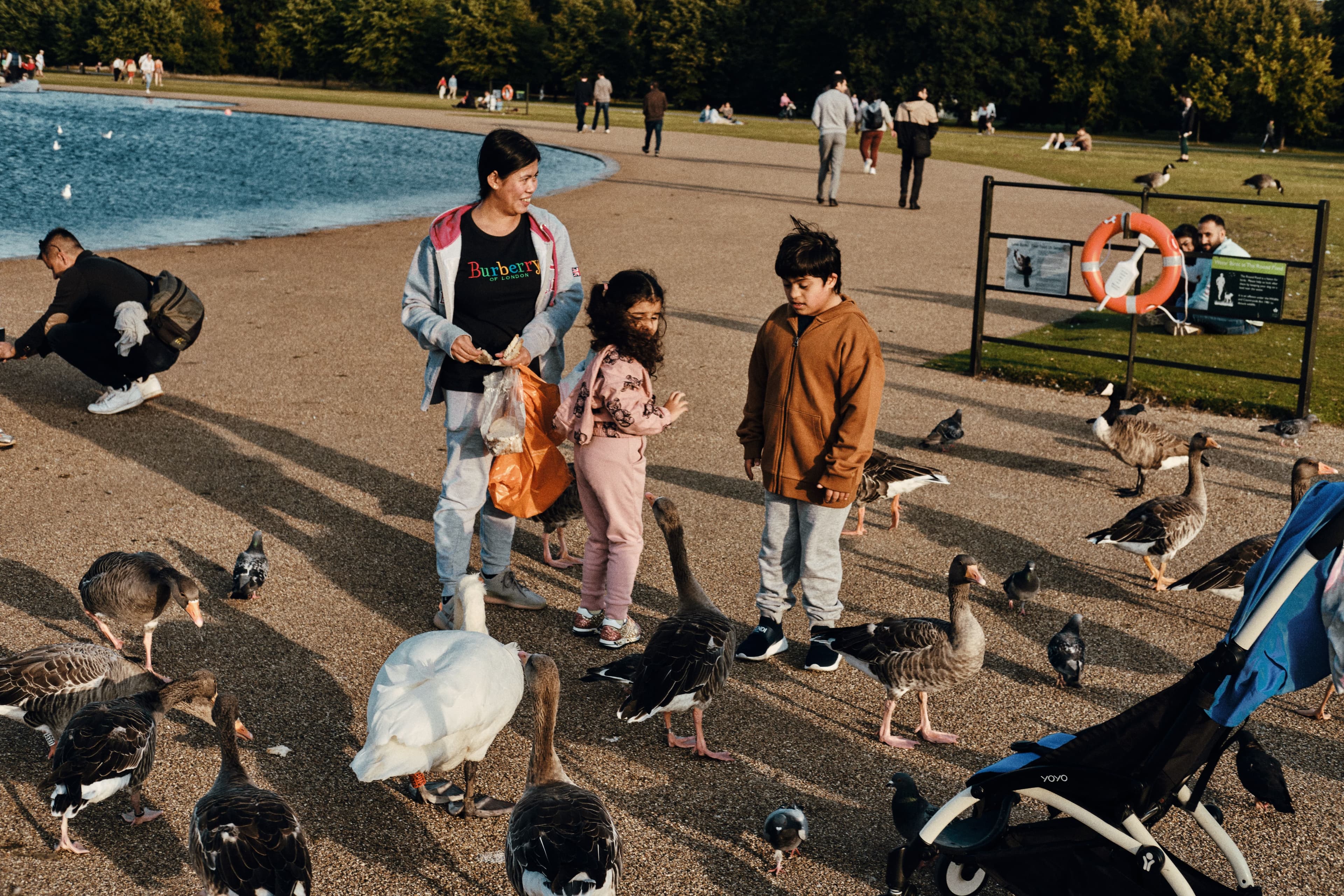 Park, people, birds