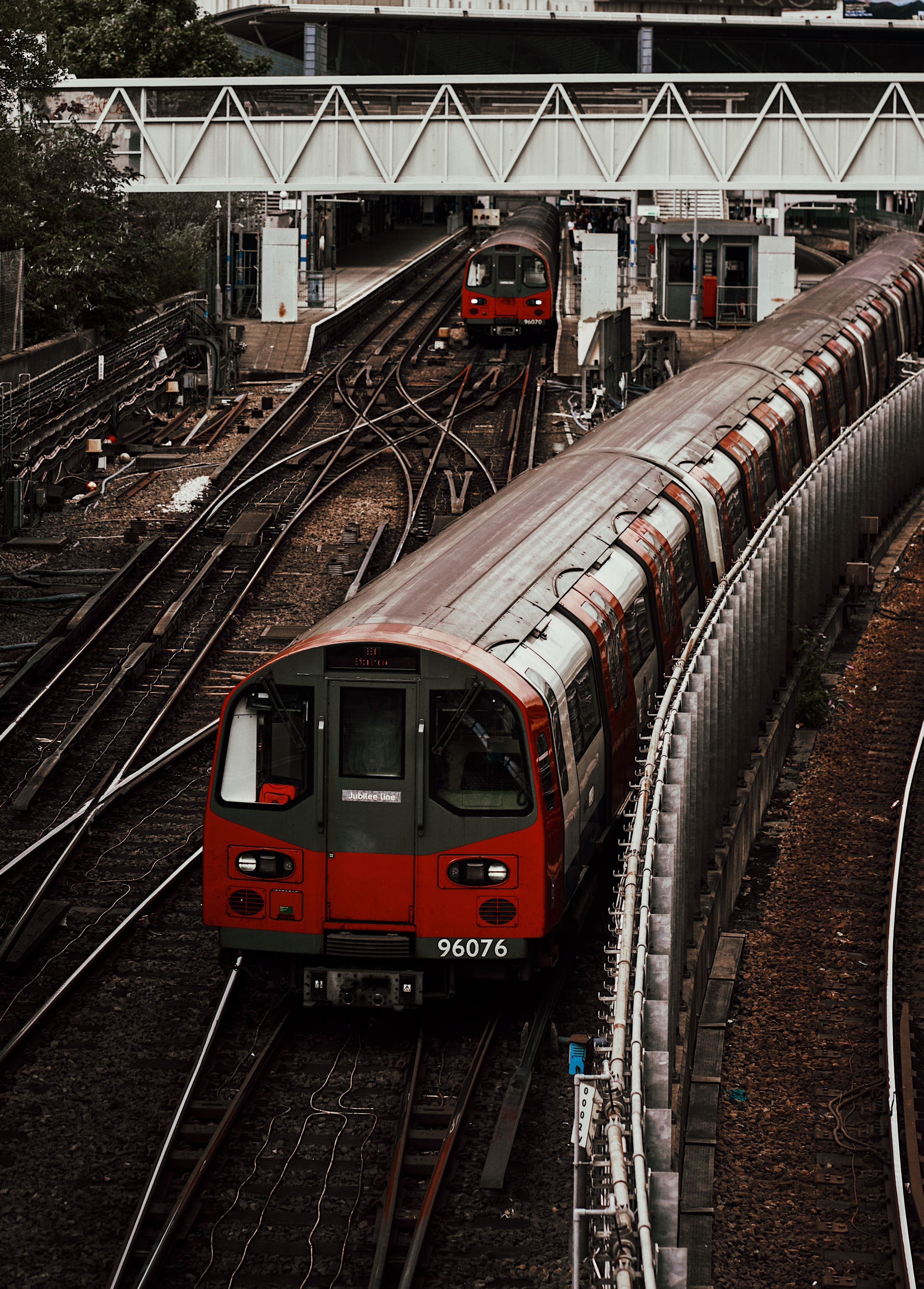 Snakes of London Underground